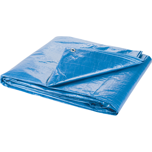 B&acirc;che, Standard, Bleu, 7' x 5' x 4 mils Oxymax Inc