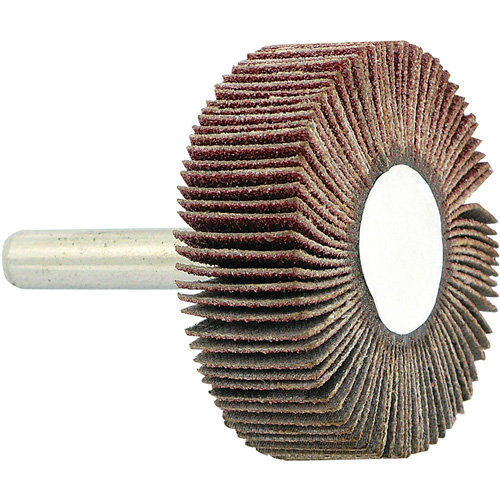 Disque &agrave; lamelles mont&eacute; sur mandrin, Grain 80, 1-1/2" x 1/2" x 1/4" Oxymax Inc