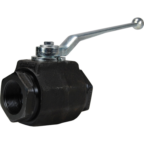 High Pressure Full-Bore Ball Valve, Steel, Manual, FNPT x FNPT Oxymax Inc