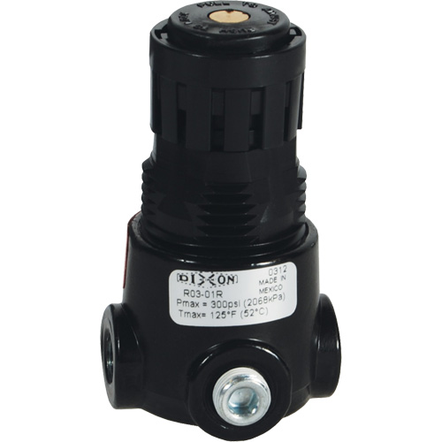 R&eacute;gulateur miniature R03 Wilkerson, 1/4" NPT, PSI max. de 300 psi, Standard Oxymax Inc