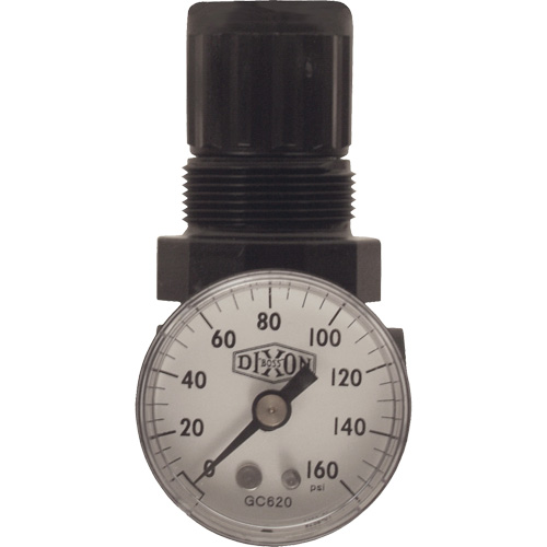 Series 1 Miniature Regulator, 1/8" NPT, 100 psi Max. PSI, Standard Oxymax Inc
