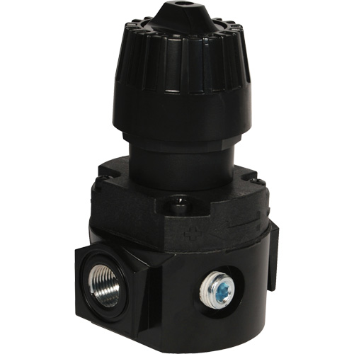 Wilkerson Compact Regulator R16, 1/4" NPT, 300 psi Max. PSI, Standard Oxymax Inc