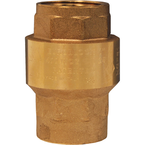 Horizontal Swing Check Valve Oxymax Inc