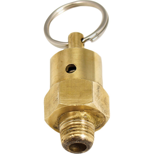 Soupape de rel&acirc;chement de pression Viton Oxymax Inc