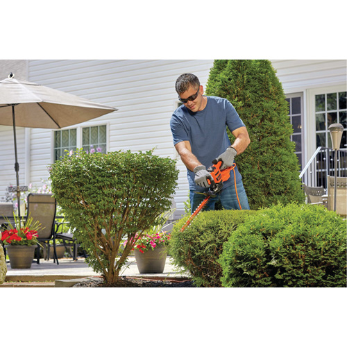 Hedge Trimmer, 17", Electric Oxymax Inc