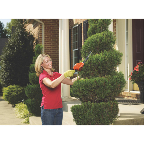 Cisailles de jardin/cisailles &agrave; haie 2-en-1, &agrave; pile, 3,6 V, Largeur de la coupe 4"/6" Oxymax Inc