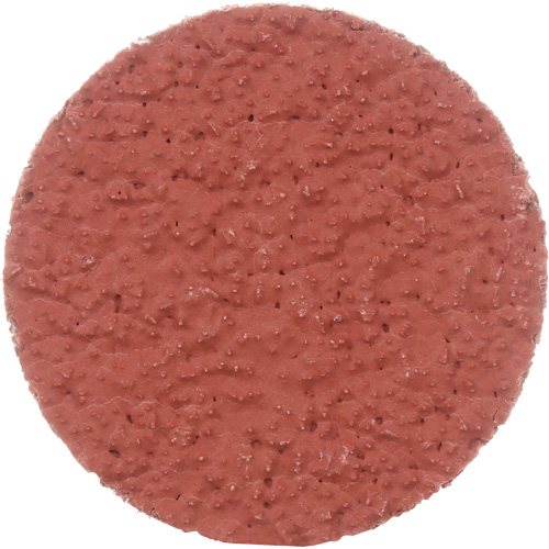 Disque &agrave; d&eacute;ligner durable II Roloc Cubitron, 2" dia., Grain 36+, C&eacute;ramique Oxymax Inc