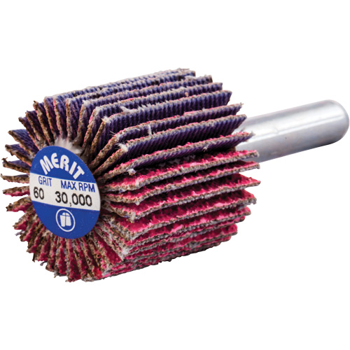 Mini-meule &agrave; lamelles mont&eacute;e sur tige, C&eacute;ramique d'alumine, Grain 60, 1" x 1" x 1/4" Oxymax Inc