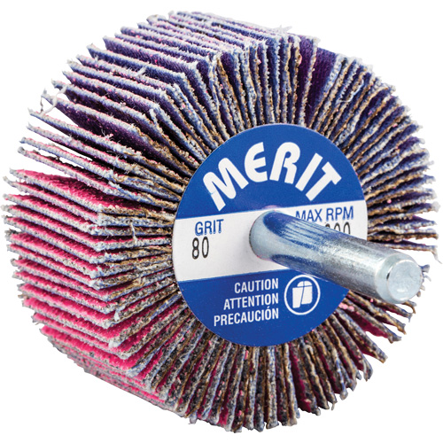 Shank Mounted Mini Flap Wheel, Ceramic Alumina, 80 Grit, 2" x 1" x 1/4" Oxymax Inc