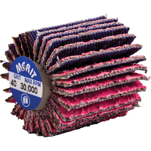 Mini-meule &agrave; lamelles filet&eacute;es, C&eacute;ramique d'alumine, Grain 40, 1" x 1" x 1/4"-20 Oxymax Inc