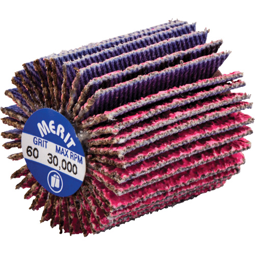 Mini-meule &agrave; lamelles filet&eacute;es, C&eacute;ramique d'alumine, Grain 60, 1" x 1" x 1/4"-20 Oxymax Inc