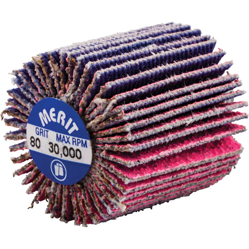 Mini-meule &agrave; lamelles filet&eacute;es, C&eacute;ramique d'alumine, Grain 80, 1" x 1" x 1/4"-20 Oxymax Inc