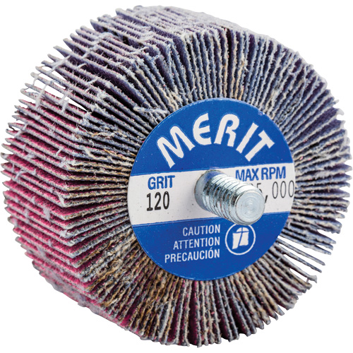 Mini-meule &agrave; lamelles filet&eacute;es, C&eacute;ramique d'alumine, Grain 120, 2" x 1" x 1/4"-20 Oxymax Inc