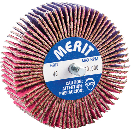 Mini-meule &agrave; lamelles filet&eacute;es, C&eacute;ramique d'alumine, Grain 40, 3" x 1" x 1/4"-20 Oxymax Inc