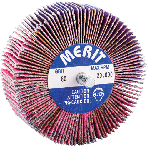 Mini-meule &agrave; lamelles filet&eacute;es, C&eacute;ramique d'alumine, Grain 80, 3" x 1" x 1/4"-20 Oxymax Inc