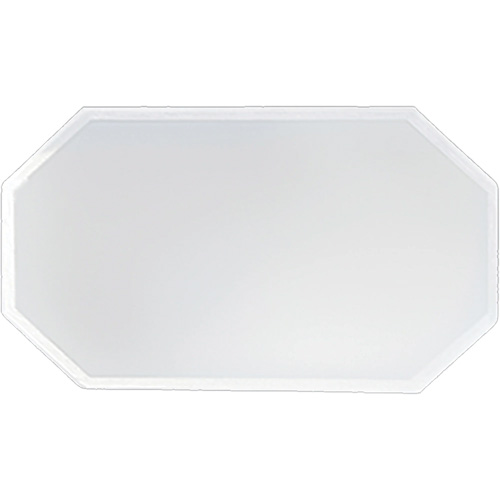 Replacement Plastic Shield for Suction & Pressure Cabinets Oxymax Inc
