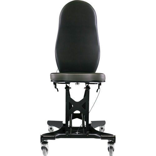 Flex III Ergonomic Chair Oxymax Inc