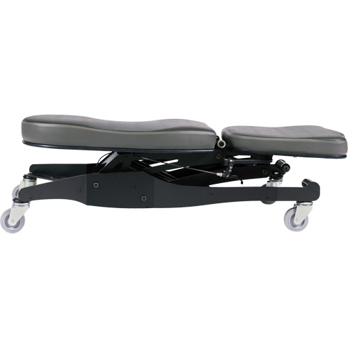 Flex III Ergonomic Chair Oxymax Inc