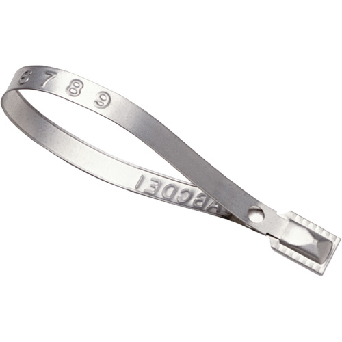 Scell&eacute;s Guard Lock, 8-3/8", M&eacute;tal, Scell&eacute; pour camion Oxymax Inc