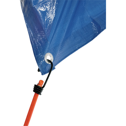 Bungee Cord Tie Downs, 18" Oxymax Inc