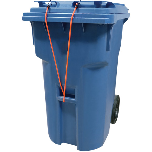 Bungee Cord Tie Downs, 18" Oxymax Inc