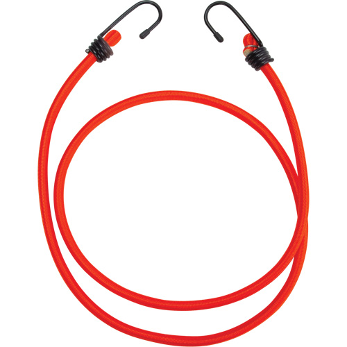 Sangles d'arrimage &eacute;lastiques, 48" Oxymax Inc