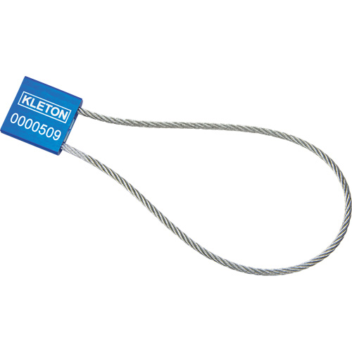 Scell&eacute;s de haute s&eacute;curit&eacute;, 12", M&eacute;tal, Scell&eacute; &agrave; c&acirc;ble Oxymax Inc