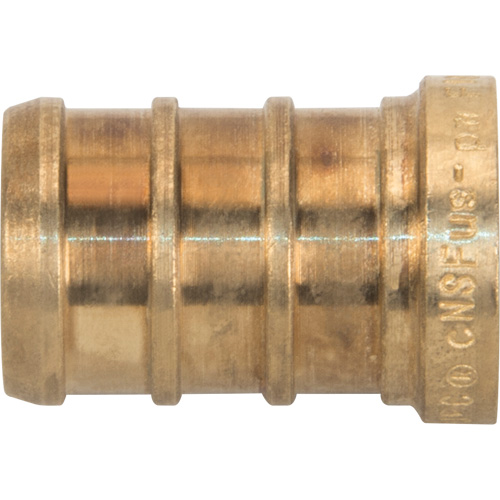Capuchon de tuyau sans plomb, Tuyau, 1/2" dia., Laiton Oxymax Inc