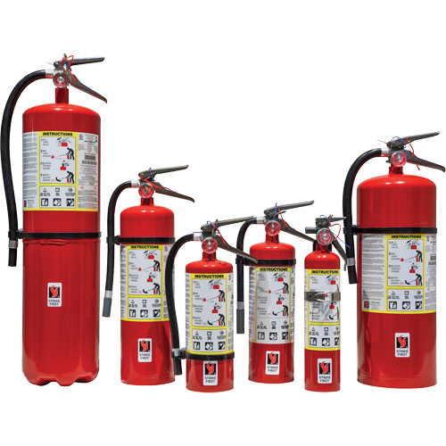Extincteur d'incendie, ABC, Capacit&eacute; 2,5 lb Oxymax Inc