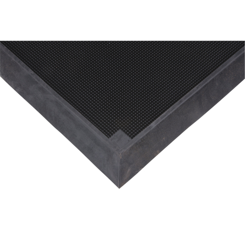 Foot Sanitizing Matting, Rubber, 2-2/3' W x 3-1/4' L x 2-1/2" Thick, Black Oxymax Inc