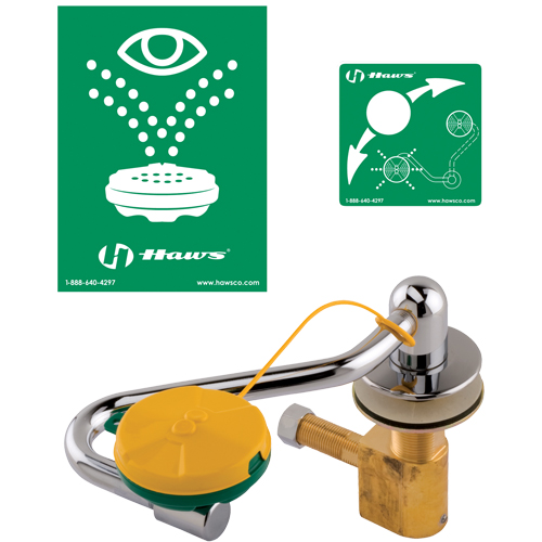 Poste de douche oculaire/faciale, Installation Montage sur &eacute;vier Oxymax Inc