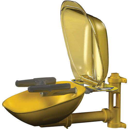 Halo Face/Eyewash Stations, Wall-Mount Installation, Plastic Bowl Oxymax Inc