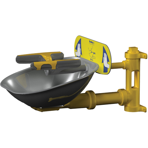 Postes de douche oculaire/faciale Halo, Installation Montage mural, Bol Acier inoxydable Oxymax Inc