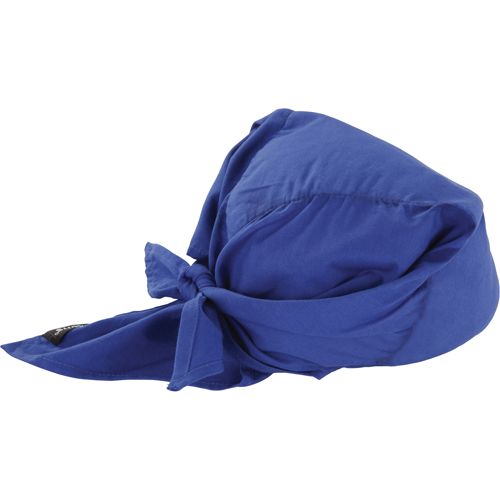Foulards de refroidissement en triangle Chill-Its 6710CT, Bleu Oxymax Inc