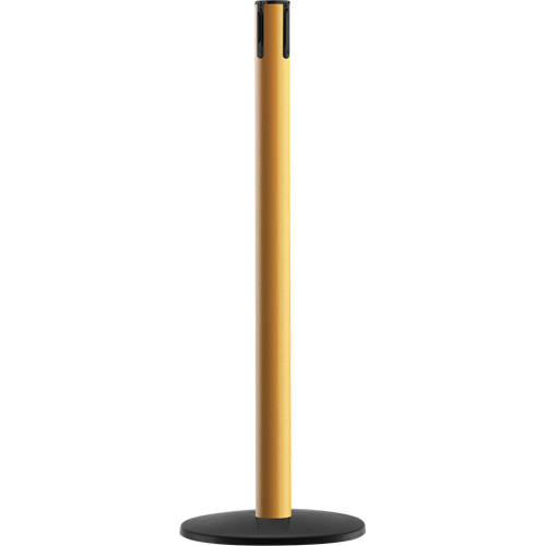 Syst&egrave;me Advance TensaBarrier - Poteau r&eacute;cepteur, Hauteur de 36", Jaune Oxymax Inc
