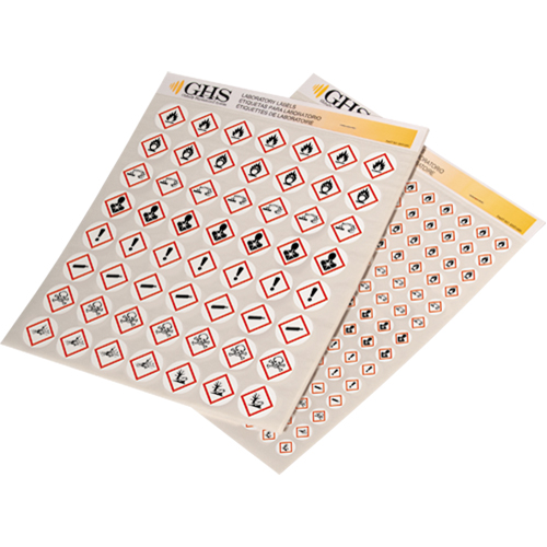 GHS Hazard Pictogram Label Variety Packs, Vinyl, Sheet, 1" L x 1" W Oxymax Inc