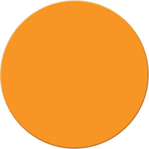 Marqueurs all&eacute;g&eacute;e/5S Armor Stripe, Cercle, 6" lo x 6" la, Orange, Plastique Oxymax Inc