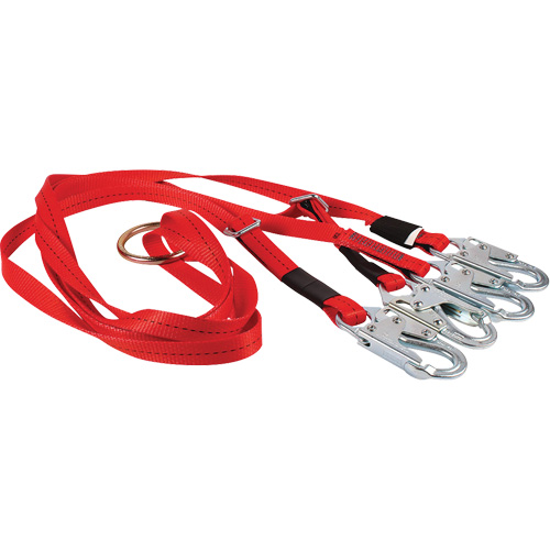 Dynamic Bridle for Wire Basket Stretcher Oxymax Inc
