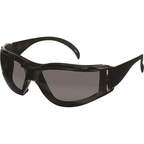 CeeTec DX Safety Glasses, Grey Lens, Anti-Fog/Anti-Scratch, Meets/Exceeds CSA Z94.3 Oxymax Inc