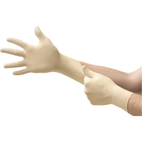 Gants d'examen MICROFLEX Ultra One, 10/9,5/T-Grand, Latex, 9,8 mils, Sans poudre, Naturel, Classe 2 Oxymax Inc
