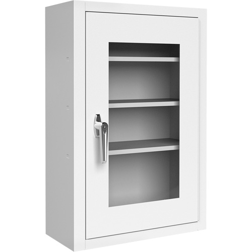 Lockable Medicine Cabinet with Plexiglas Door Oxymax Inc