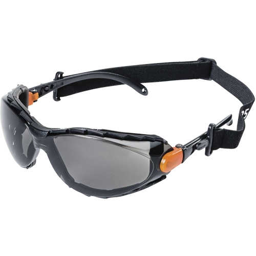 XPS502 Sealed Safety Glasses, Smoke Lens, Anti-Fog/Anti-Scratch Oxymax Inc