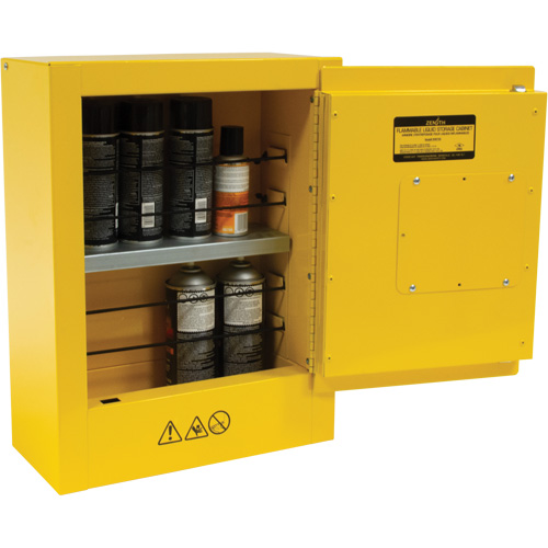 Armoire de s&eacute;curit&eacute; miniature pour produits inflammables, 2 gal., 1 Porte(s), 17" La x 22" h x 8" p Oxymax Inc