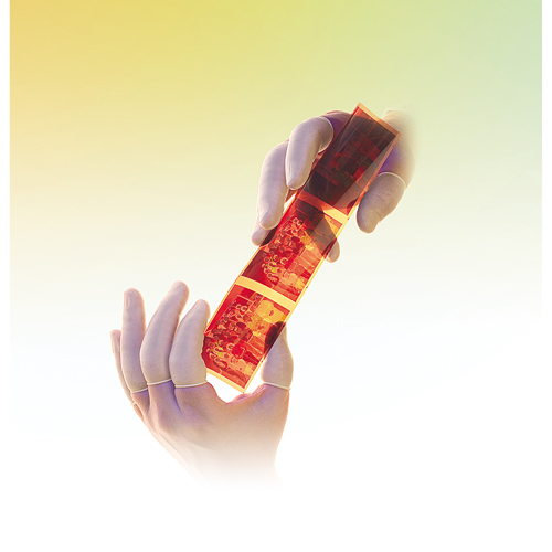 QRP&reg; Low Powder Latex Finger Cots Oxymax Inc