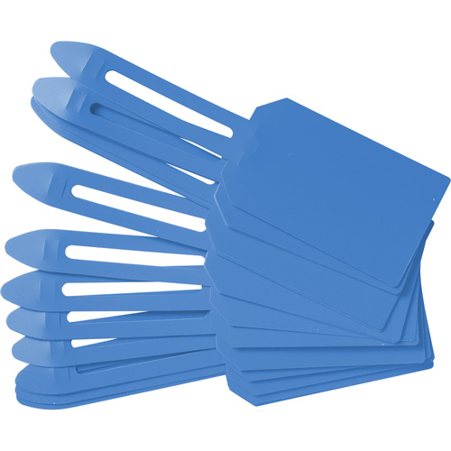 &eacute;tiquettes de cadenassage vierges en plastique, Plastique, 3-1/4" la x 5-4/5" h, Vierge Oxymax Inc