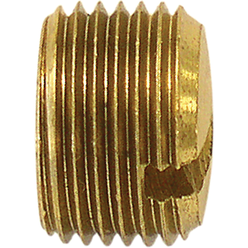 Bouchon de tuyau (avec fentes), 1/8" dia., Laiton Oxymax Inc