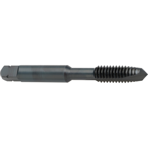 Spiral Point Tap, High Speed Cobalt, 8-32 Thread, 2-1/8" L Oxymax Inc