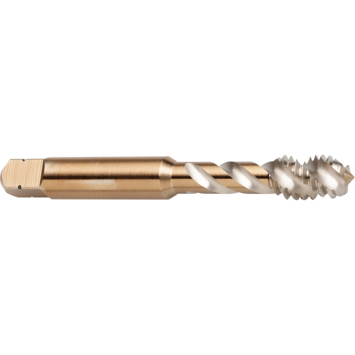 Taraud &agrave; cannelure en spirale 45°, Acier rapide au cobalt, Filet de 1/4"-28, 2-1/2" l Oxymax Inc
