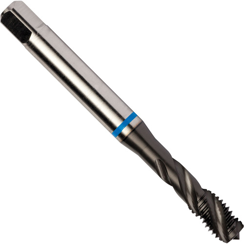 Taraud &agrave; cannelures h&eacute;licoidales Blue Shark, Acier rapide au cobalt, Filet de 1/4"-28, 3,15" l Oxymax Inc