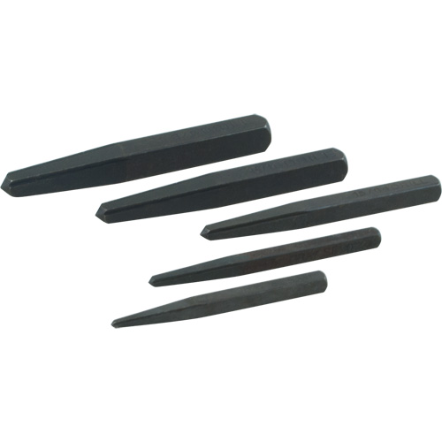Straight Type Extractor Set, 5 Pieces Oxymax Inc